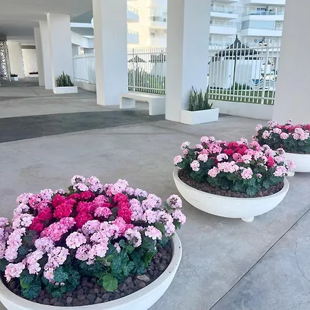 Luxury Canet